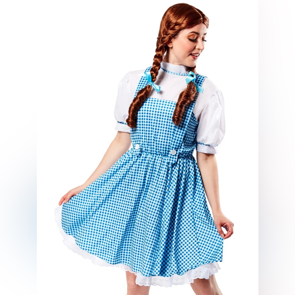 Rubies Wizard Of Oz Dorothy Gale Kansas Midwest Cutie Halloween Costume Dress S